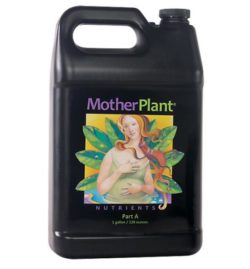 MOTHER PLANT A GAL (4/CASE)