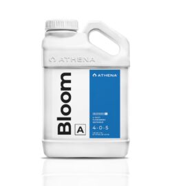 ATHENA BLENDED BLOOM A