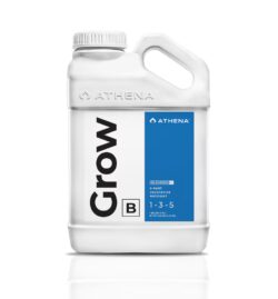 ATHENA BLENDED BLOOM B