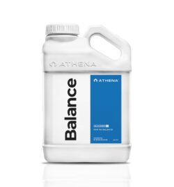 ATHENA BALANCE