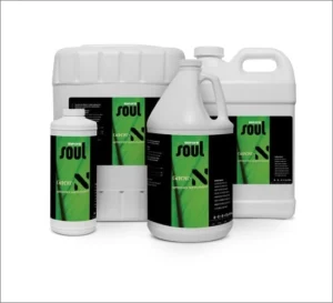 Aurora Innovations Soul Grow-N