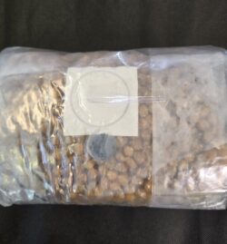 DECKERS MYCO GRAIN SPAWN (3lb)