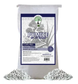 BuildASoil Pumice
